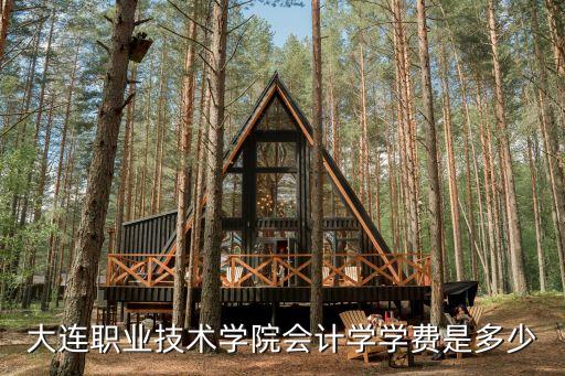 大连职业技术学院会计学学费是多少