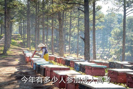 安徽成人高考今年报考有多少人，今年有多少人参加成人高考