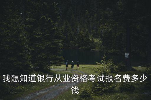 我想知道银行从业资格考试报名费多少钱