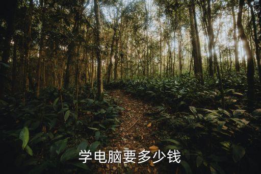 学电脑要多少钱