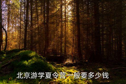 北京游学夏令营一般要多少钱