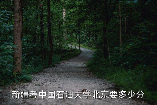新疆考中国石油大学北京要多少分