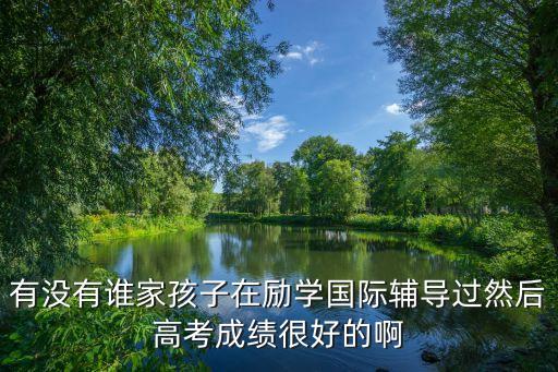 有没有谁家孩子在励学国际辅导过然后高考成绩很好的啊