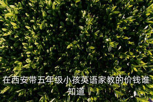 在西安带五年级小孩英语家教的价钱谁知道