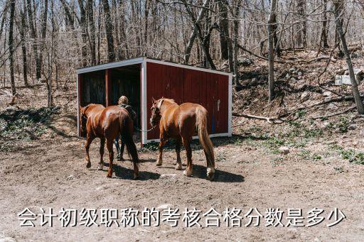 2018年兵团初级会计多少分合格，会计初级职称的考核合格分数是多少