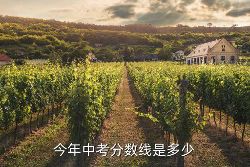 今年中考分数线是多少