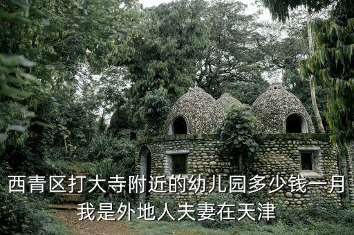 西青区为名幼小衔接多少钱，天津西青区的幼儿园学费一月是多少钱