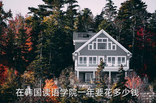 韩国语学院一年多少钱，在韩国读语学院一年要花多少钱