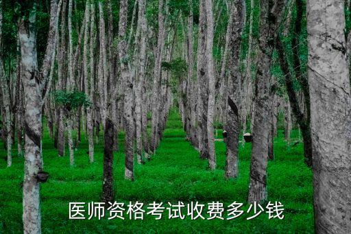 医师资格考试收费多少钱