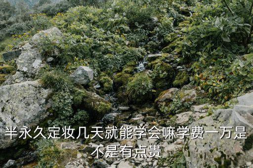 半永久定妆几天就能学会嘛学费一万是不是有点贵