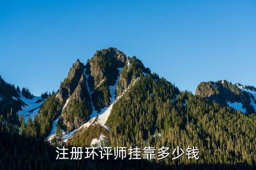 注册环评师挂靠多少钱