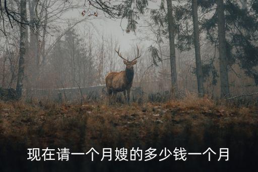 现在请一个月嫂的多少钱一个月