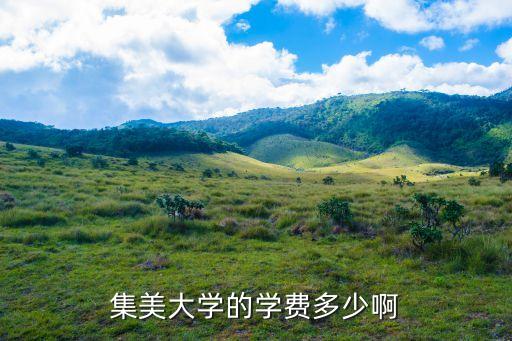 集美大学的学费多少啊