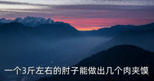 一个3斤左右的肘子能做出几个肉夹馍