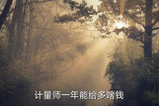 计量师一年能给多啥钱
