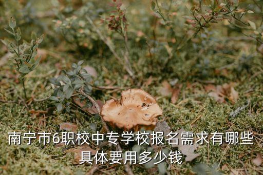 南宁市6职校中专学校报名需求有哪些具体要用多少钱