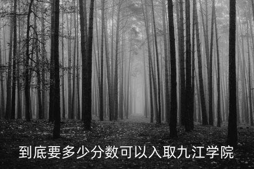 到底要多少分数可以入取九江学院