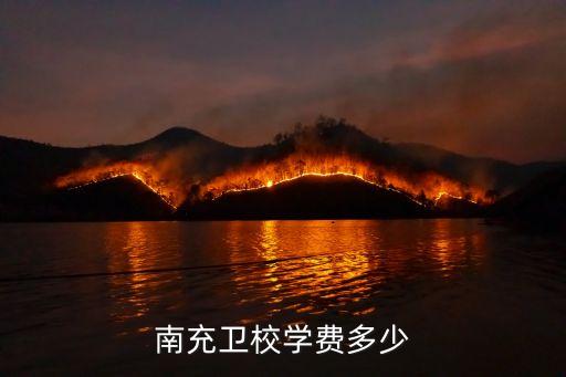南充卫校学费多少