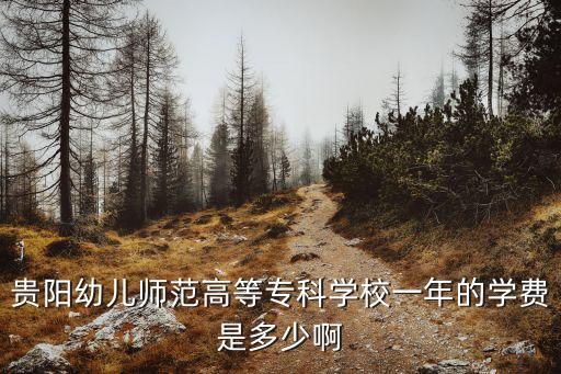 贵阳幼儿师范高等专科学校一年的学费是多少啊