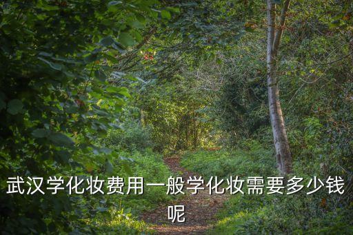 在武汉学化妆多少钱一个月，武汉学化妆要多少钱啊