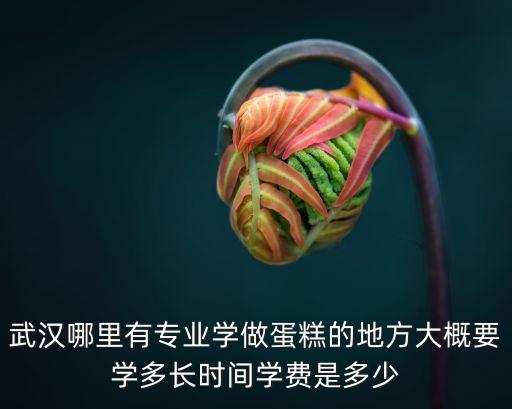 武汉哪里有专业学做蛋糕的地方大概要学多长时间学费是多少