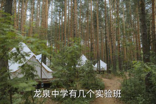龙泉中学有几个实验班