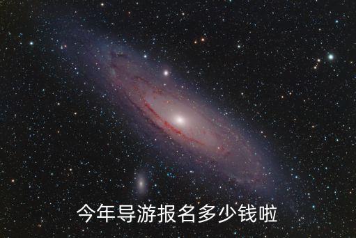 今年导游报名多少钱啦