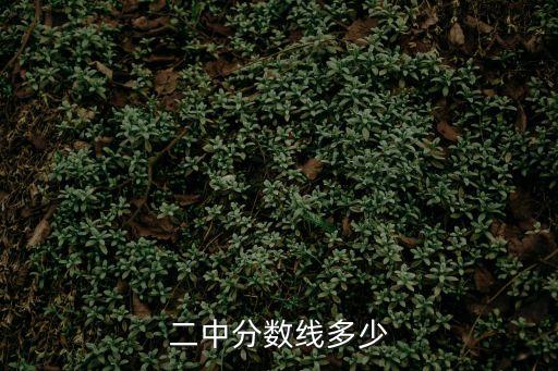 二中分数线多少