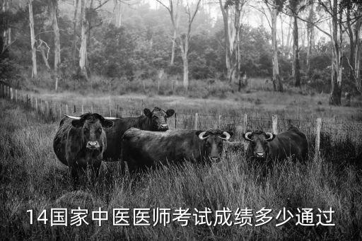 14国家中医医师考试成绩多少通过