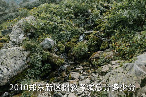 2010郑东新区招教考试总分多少分