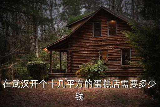 在武汉开个十几平方的蛋糕店需要多少钱