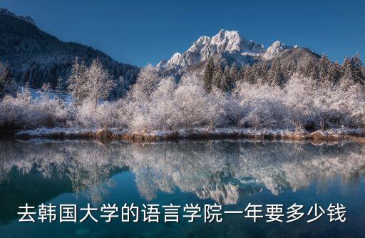 去韩国大学的语言学院一年要多少钱