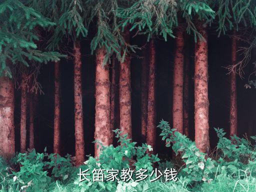 长笛家教多少钱