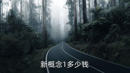 新概念1多少钱