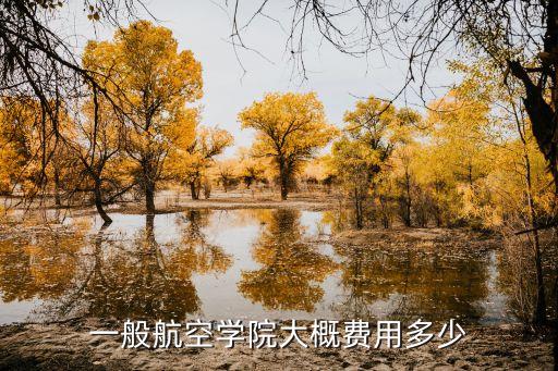 昆明航空学院学费多少，航空学院一年多少学费 需要读几年 哪些标准