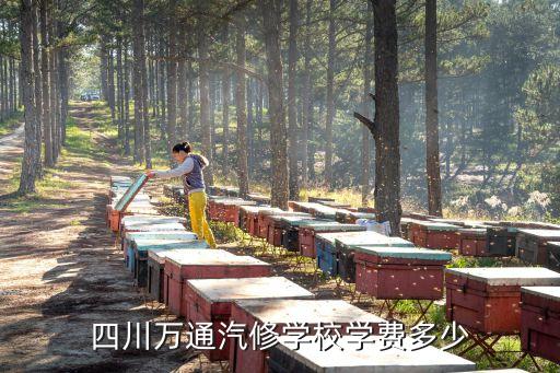 四川万通汽车学校学费多少，四川万通汽修学校学费多少