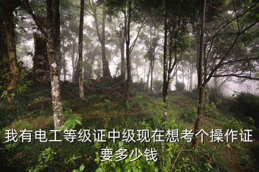 中级实操多少钱，办个中级电工证和操作证要多少钱
