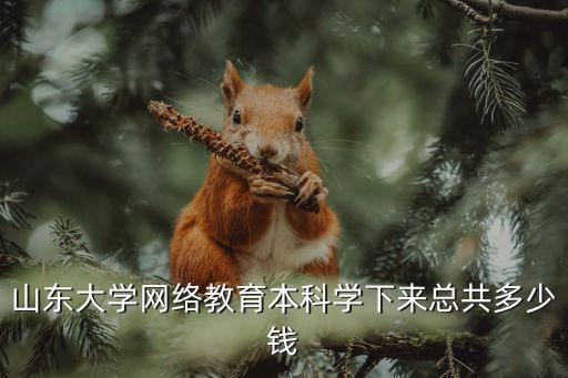 山东大学网络教育1学分多少钱，山东大学网络教育学院的法学本科每年度的学费是多少啊