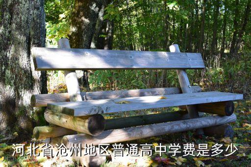 河北省沧州地区普通高中学费是多少