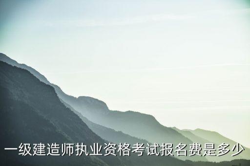 一级建造师执业资格考试报名费是多少