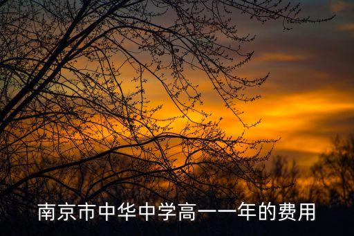 南京市中华中学高一一年的费用