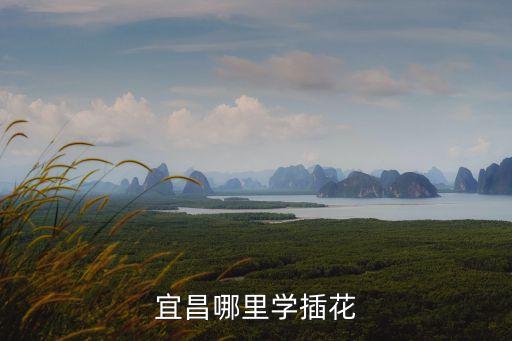 宜昌插花培训多少钱，学习插花大概要多少钱零基础的要学几天