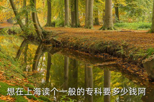 上海大专学费都是多少，想在上海读个一般的专科要多少钱阿