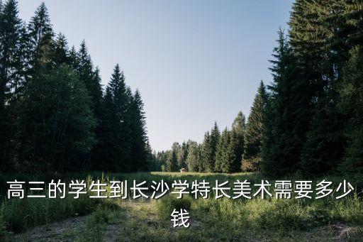 高三的学生到长沙学特长美术需要多少钱