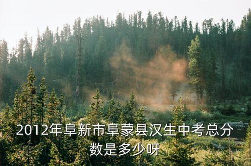 2012年阜新市阜蒙县汉生中考总分数是多少呀