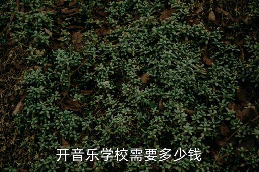 开音乐学校需要多少钱