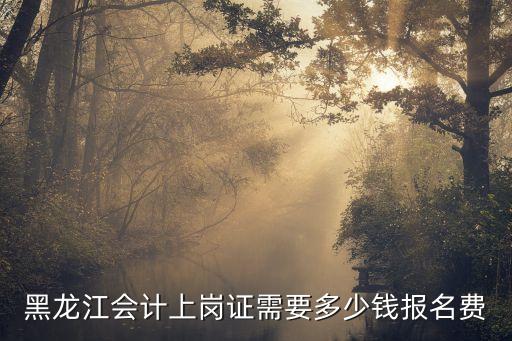 黑龙江会计上岗证需要多少钱报名费