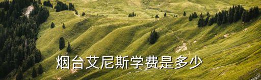 烟台艾尼斯学费是多少