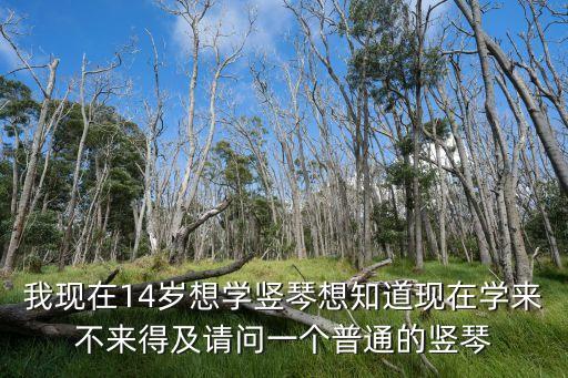 我现在14岁想学竖琴想知道现在学来不来得及请问一个普通的竖琴