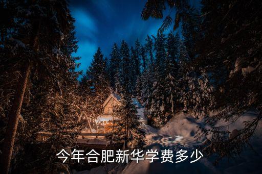 今年合肥新华学费多少